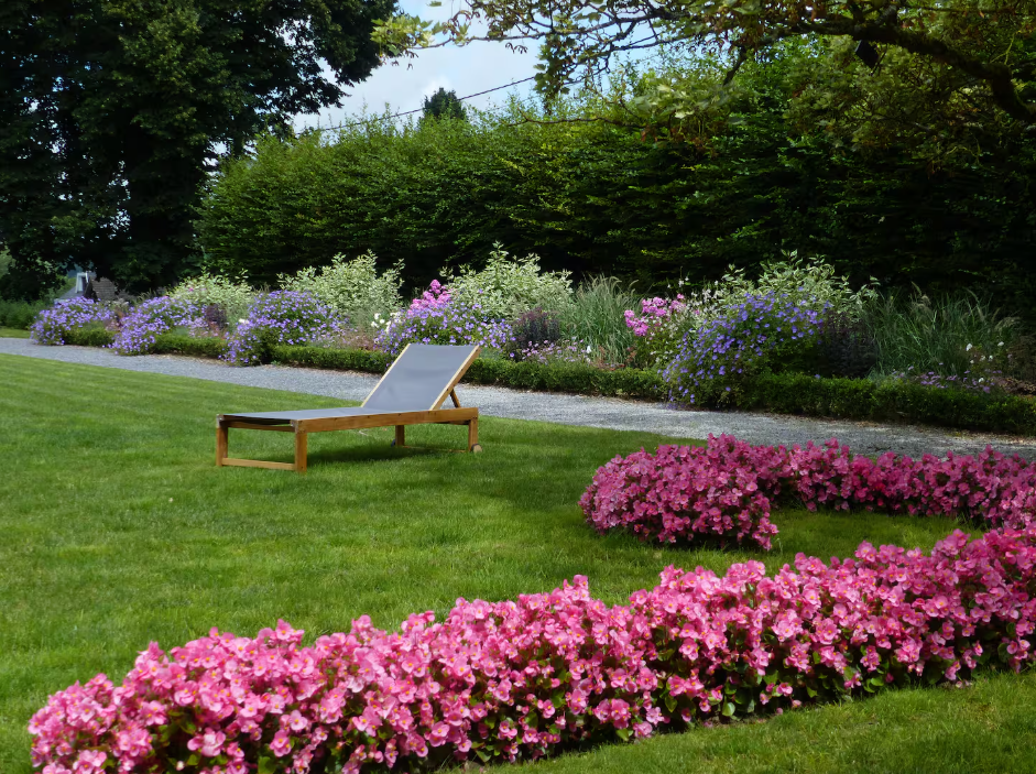 Mown lawn with beds of pink begonias, a wooden sun lounger and a long flowering border