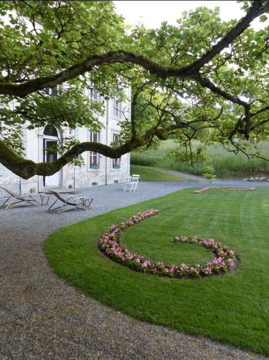 Old tree with a long low branch reaching across the gravel drive beside the mansion